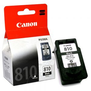 Canon Ink Cartridge PG-810