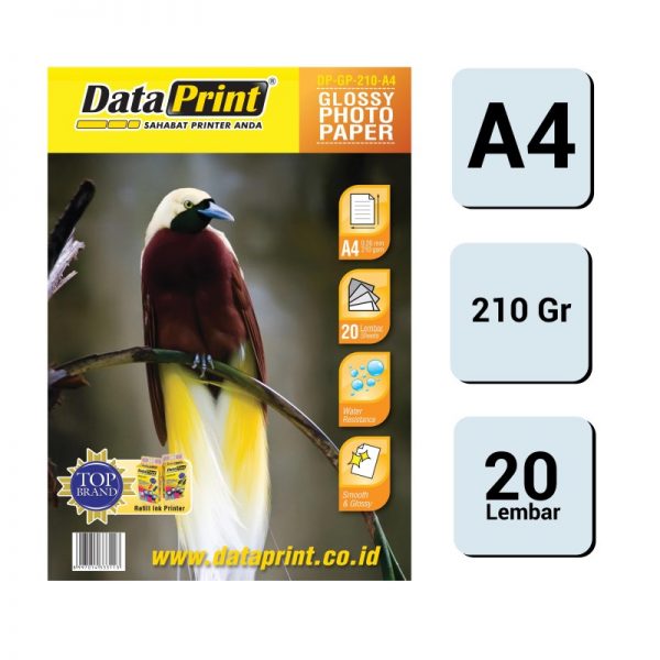 Data Print Glossy Photo Paper 210gsm A4
