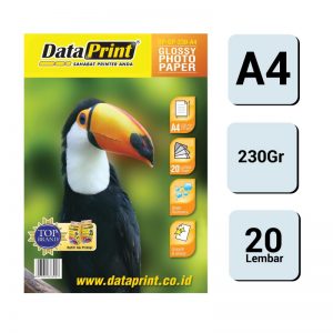 Data Print Glossy Photo Paper 230gsm A4